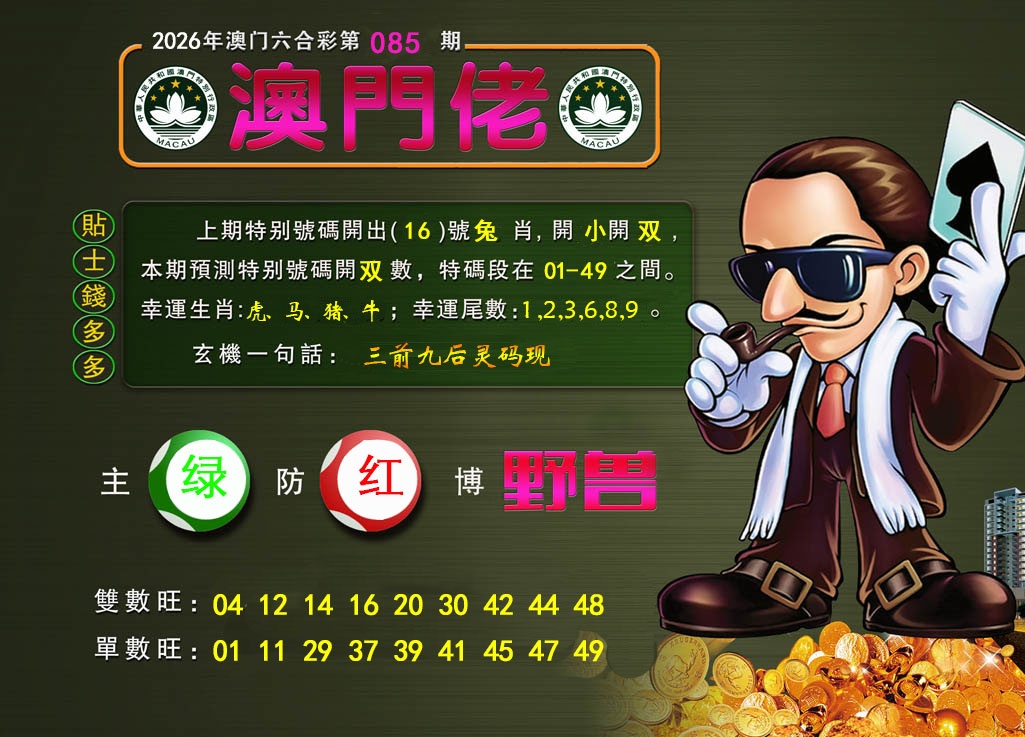 085期澳门佬[图]